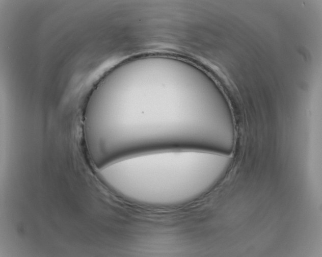 X0000114231363200910091319