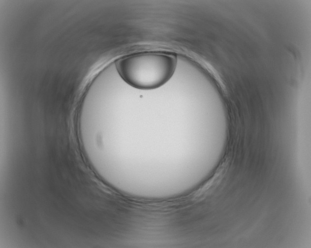 X0000114231365200910091319