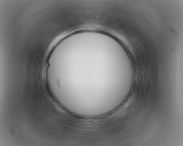 X0000114231366200910091319