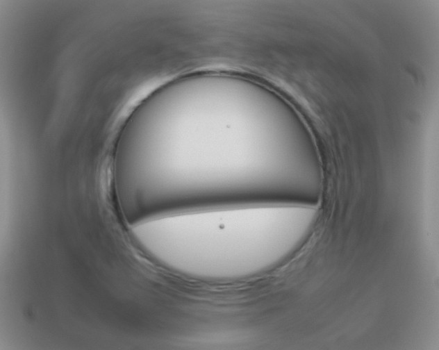 X0000114231367200910091319