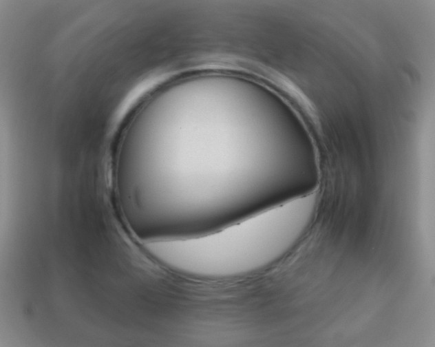 X0000114231368200910091319