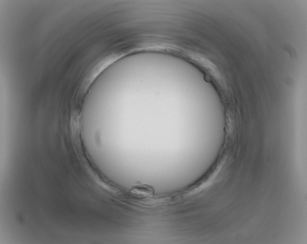 X0000114231369200910091319