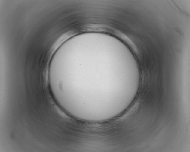 X0000114231370200910091319