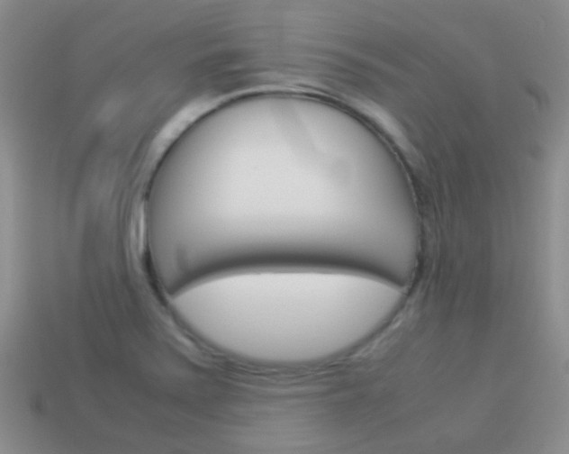 X0000114231371200910091319