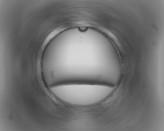 X0000114231373200910091319