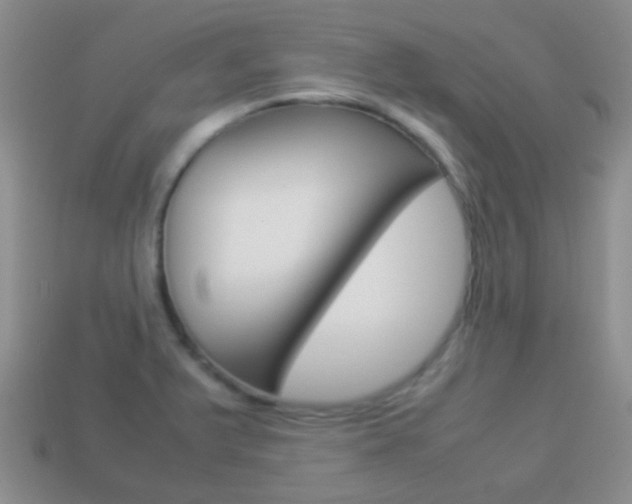 X0000114231375200910091319