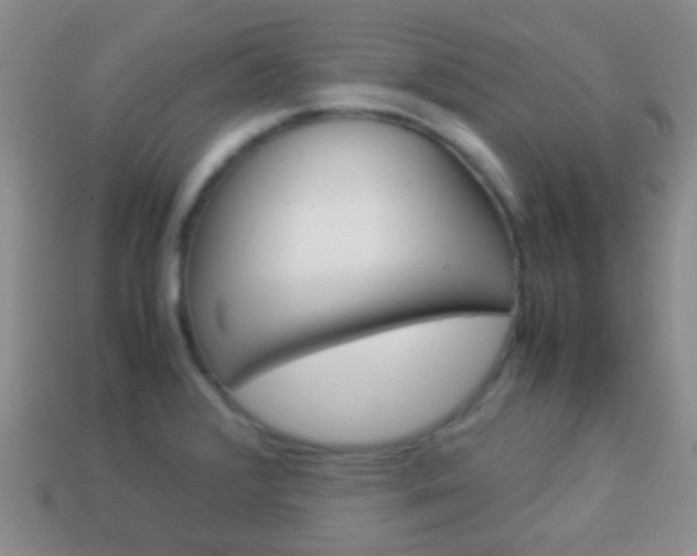X0000114231376200910091319