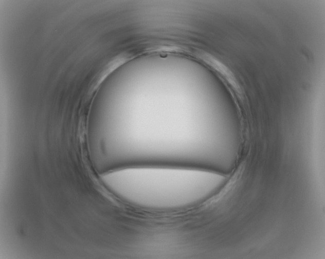 X0000114231377200910091319