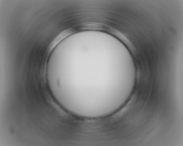X0000114231378200910091319
