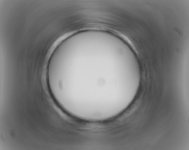 X0000114231379200910091319