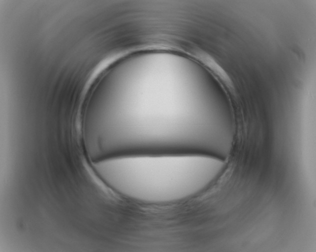 X0000114231380200910091319