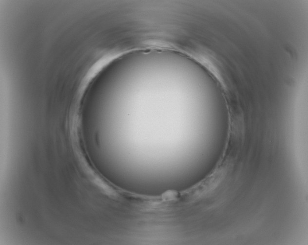 X0000114231381200910091319