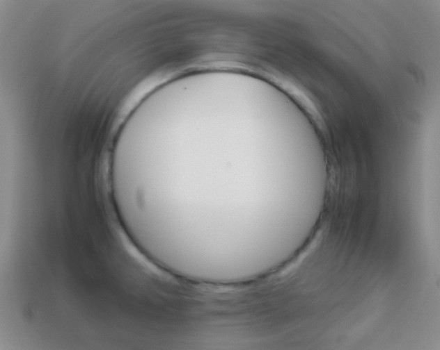 X0000114231382200910091319