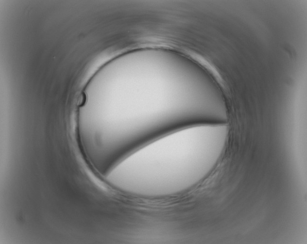 X0000114231383200910091319
