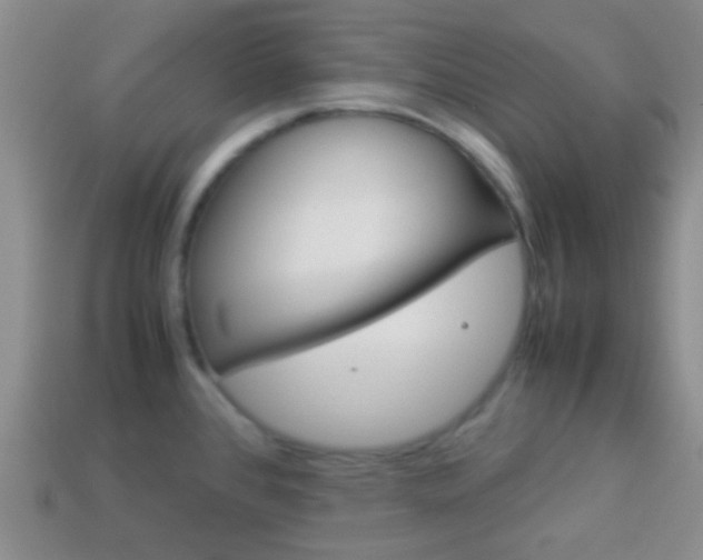 X0000114231384200910091319