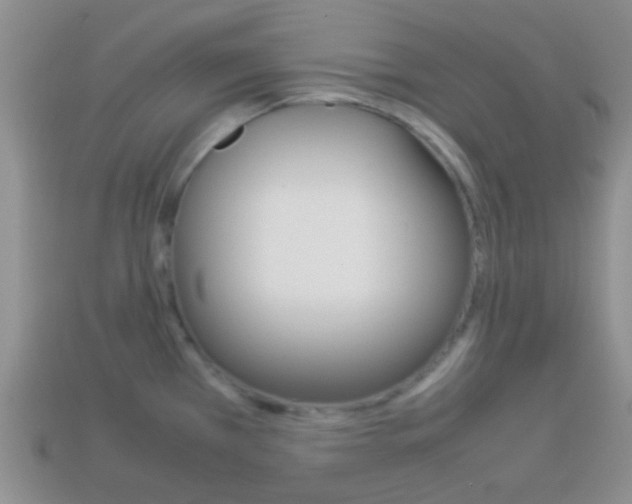 X0000114231385200910091319