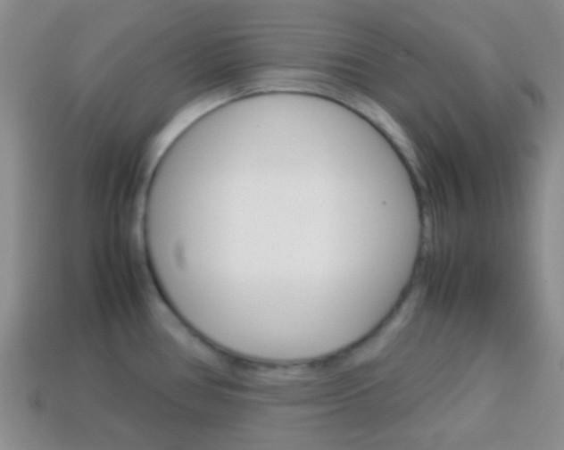 X0000114231386200910091319