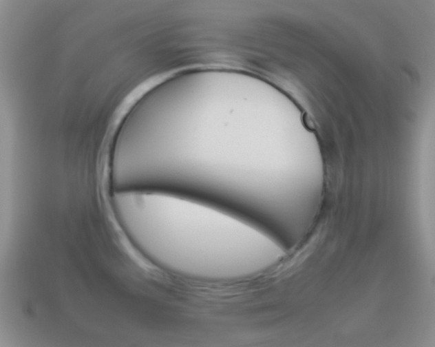 X0000114231387200910091319