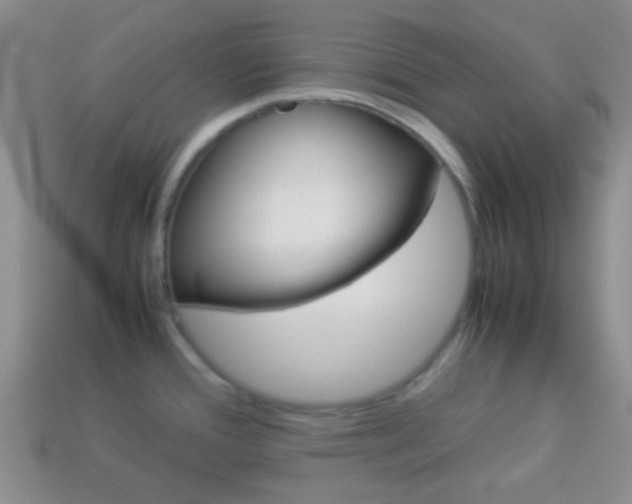 X0000114231388200910091319