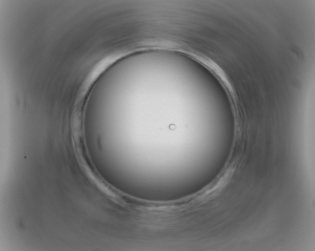 X0000114231389200910091319