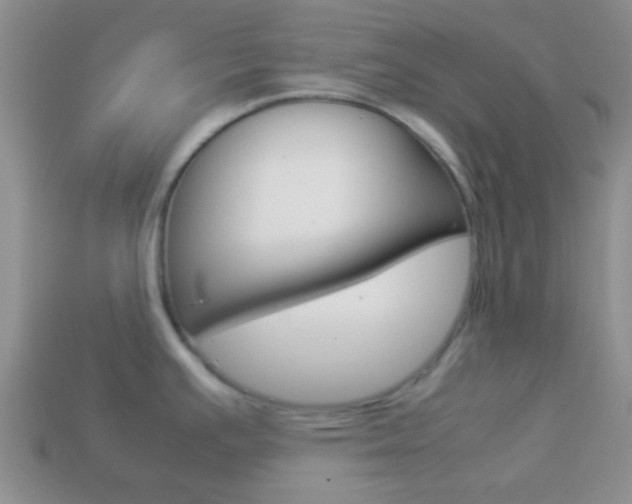 X0000114231391200910091319