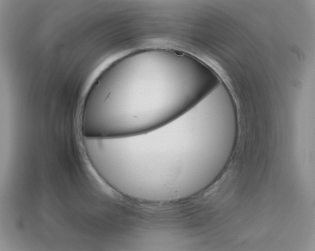 X0000114231392200910091319