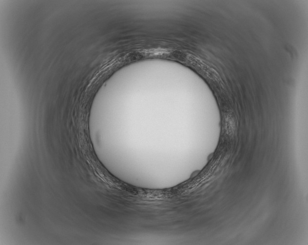 X0000114231393200910091318