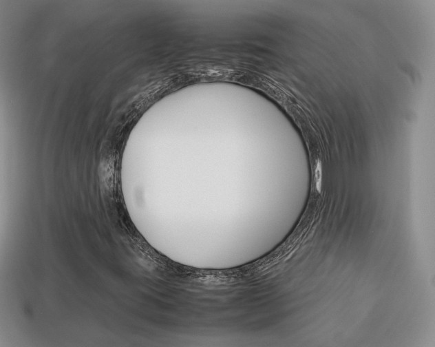 X0000114231395200910091318