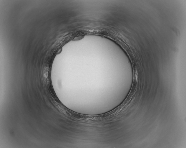 X0000114231396200910091318