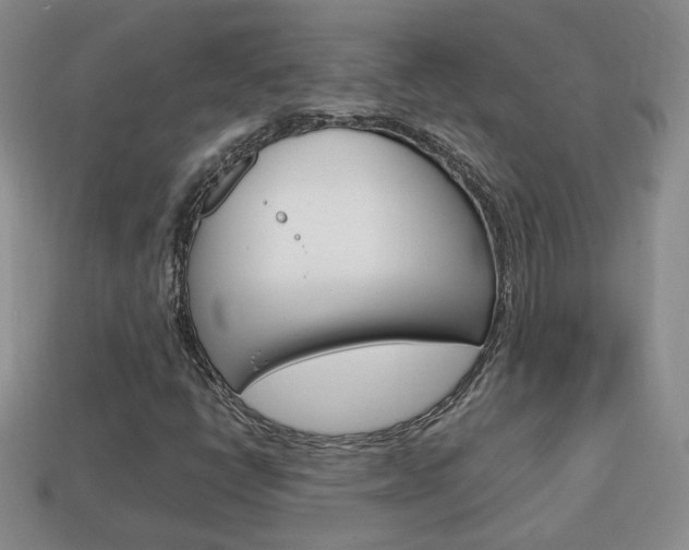 X0000114231398200910091318