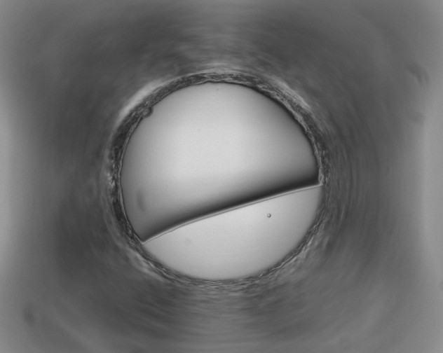 X0000114231400200910091318
