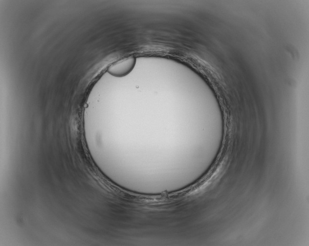 X0000114231401200910091318