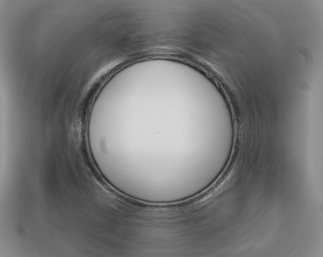X0000114231402200910091318