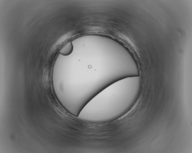 X0000114231403200910091318