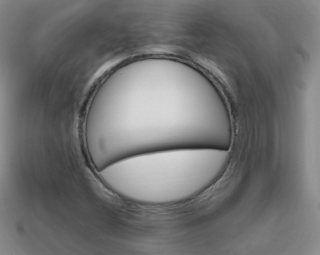X0000114231404200910091318