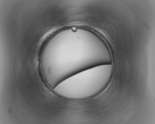 X0000114231406200910091318