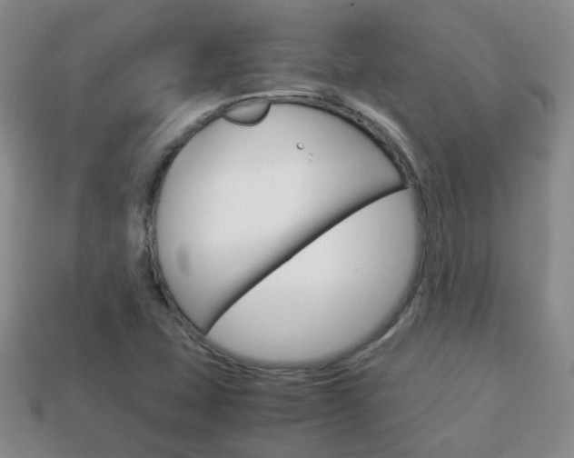 X0000114231407200910091318