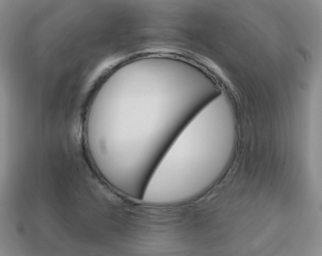 X0000114231408200910091318
