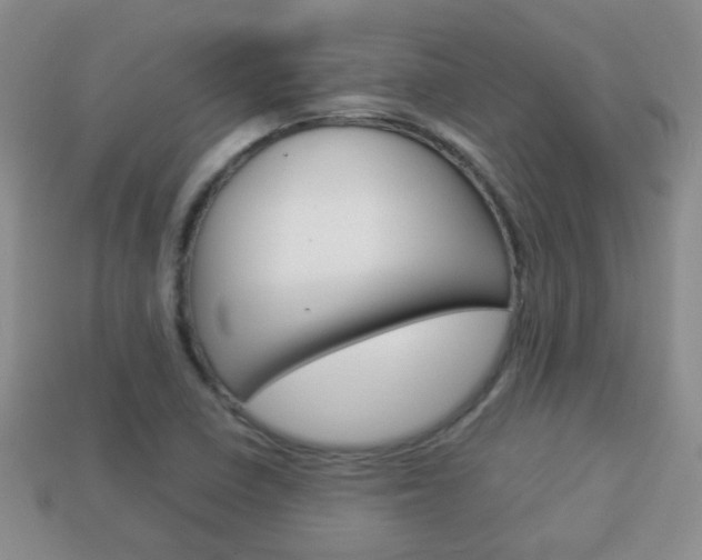 X0000114231410200910091318
