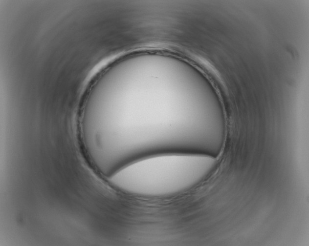 X0000114231412200910091318