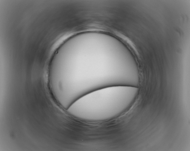 X0000114231415200910091318