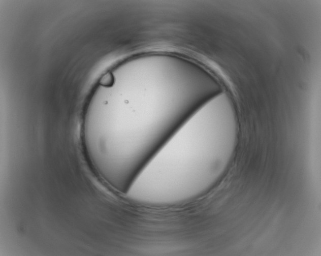 X0000114231416200910091318