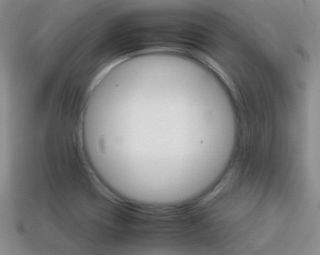 X0000114231417200910091318