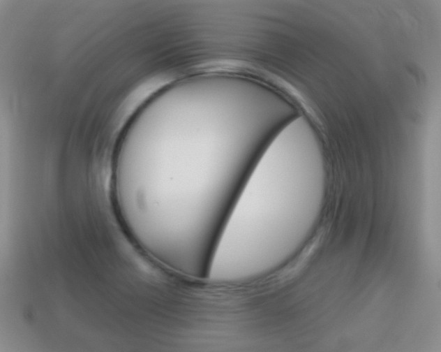 X0000114231418200910091318
