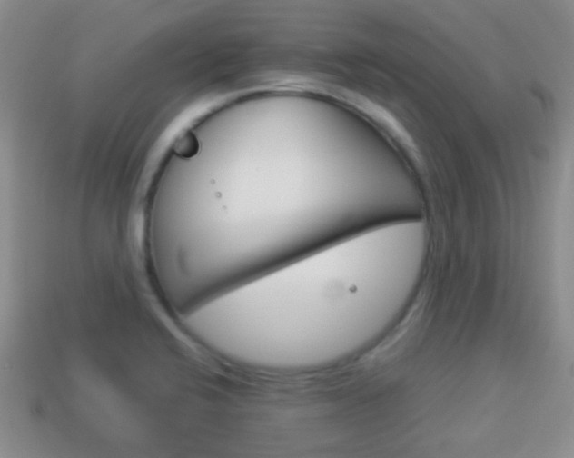 X0000114231424200910091318