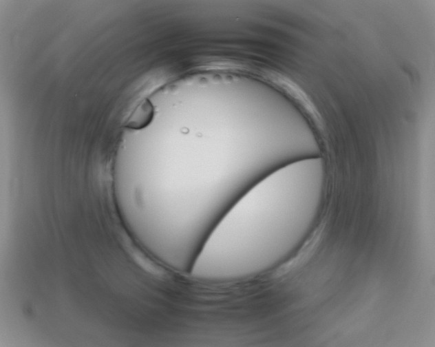 X0000114231425200910091318