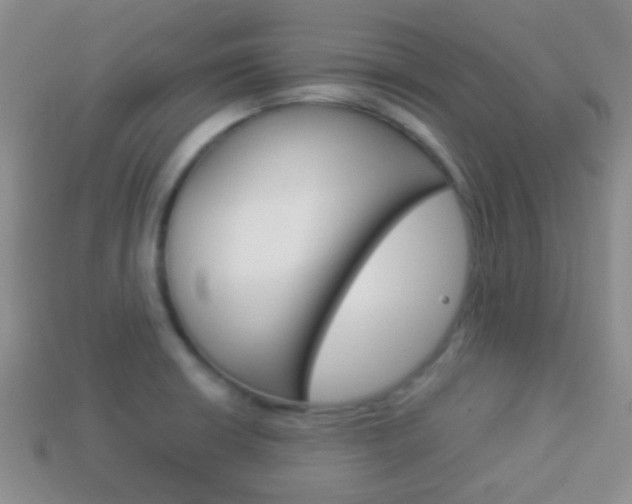 X0000114231426200910091318