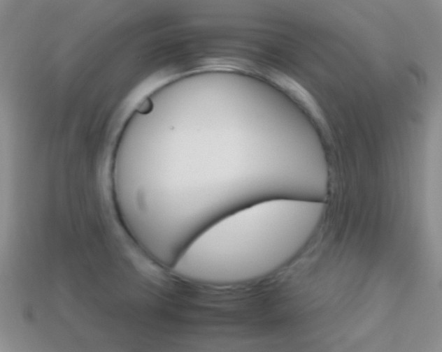 X0000114231427200910091318