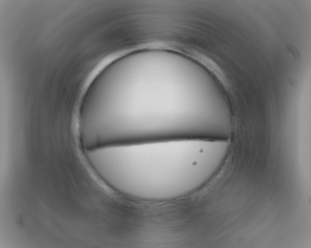 X0000114231428200910091319