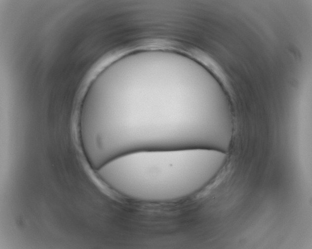 X0000114231429200910091319